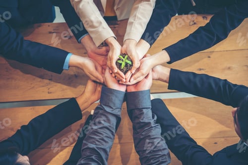Preview: Green Business Meeting. United Partners Team with hands together holding plant green trusted friends