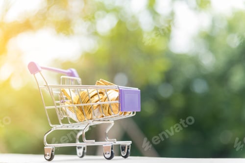 Preview: Shopping cart with golden coin. shopping online concept.