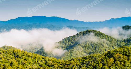 Preview: Beautiful Mountain landscape foggy windy mountain range green landscape asian farm. Amazing Landscap