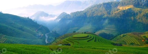 Preview: Banner Beautiful Mountain landscape foggy mountain green landscape morning sunrise. Amazing Landscap