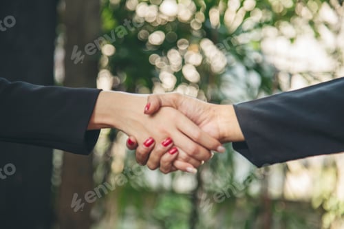 Preview: Banner Trust honesty business customer handshake together promise partner. Panorama Businessman team