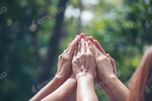 Preview: Group of teamwork high five team together hands raise up power partner. Diversity multiethnic group
