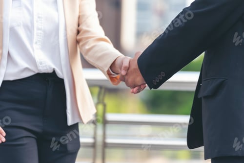 Preview: Trust honesty business customer handshake together promise respect partner. Businessman diversity so