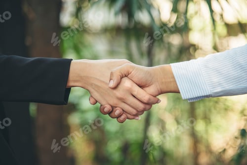 Preview: Banner Trust honesty business customer handshake together promise partner. Panorama Businessman team