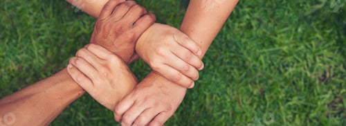 Preview: Banner Green business hands partners holding small tree plant eco company. Hand together trust missi
