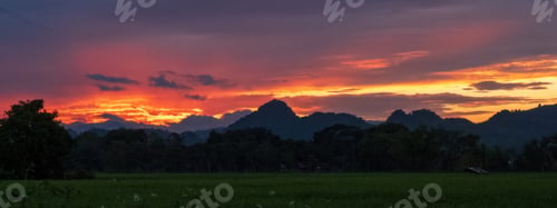 Preview: Banner purple sky sunrise dramatic beautiful landscape view. Dawn sky violet pink gold dusk time clo
