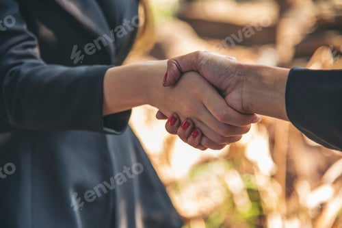 Preview: Banner Trust honesty business customer handshake together promise partner. Panorama Businessman team
