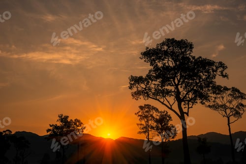 Preview: Scenic view dramatic beautiful sunset sky. Natural Sunset Sunrise on meadow silhouette shadow dark l