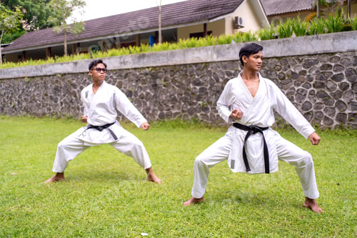 Preview: Asian Indonesian karate athletes practicing synchronized kata outdoors on grass