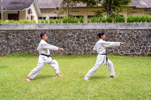 Preview: Asian Indonesian karate athletes practicing kata outdoors on grassy field