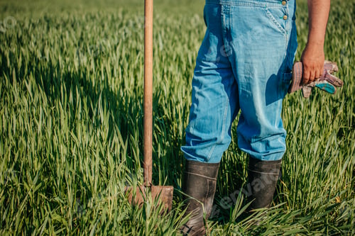Preview: Farmer Standing with Shovel and Gloves in Wheat Field