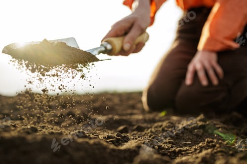Preview: Gardener Shoveling Soil for Planting in Sunlit Field