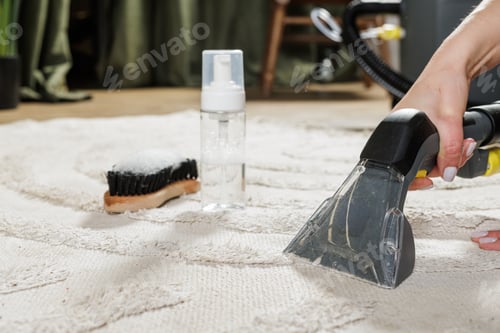 Preview: Professional Carpet Cleaning Upholstery Textile In-home Dry Services Company 1l9a2212
