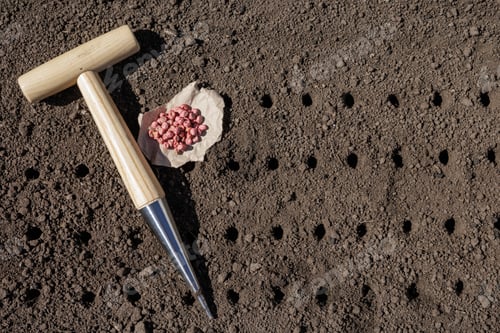 Preview: Planting Seeds with a Garden Tool on Prepared Soil