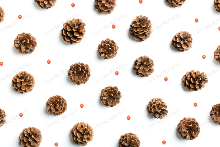 Pine cones