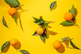 Whole oranges witl orange tree leaves on yellow background
