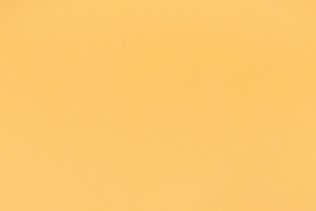 Minimal aesthetic still life monochrome design. Pastel trends. Circle geometry and hand