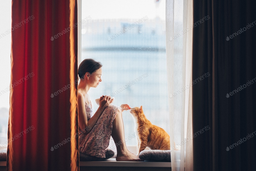 Cover for Young girl with a red cat at home