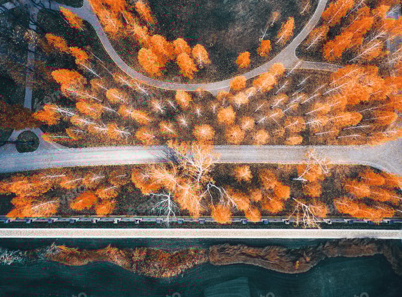 Jasper Art Jasper Art