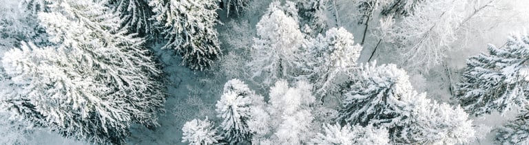 Aerial view of winter forest covered with snow, view from above.