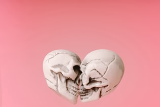 Two skulls in heart shape kissing on pastel pink background. Minimal love concept.