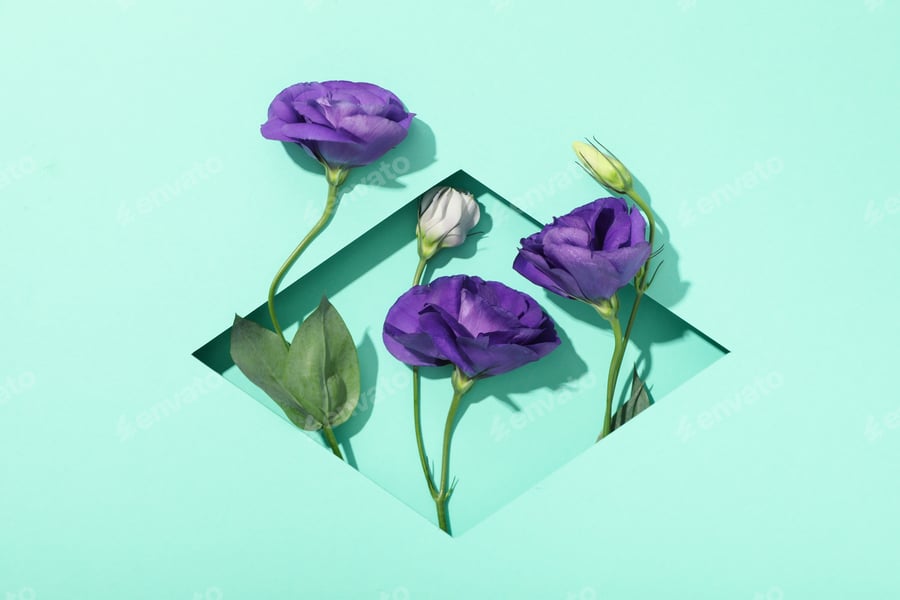 Cover for Beautiful, fresh flowers on a blue background.