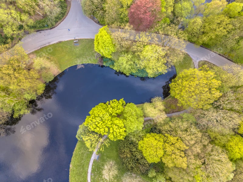 Jasper Art Jasper Art