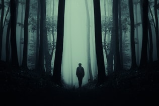 Dark mysterious silhouette in scary forest