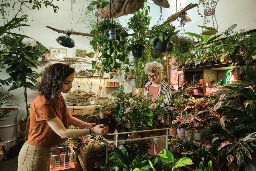 Cover for People in botany garden