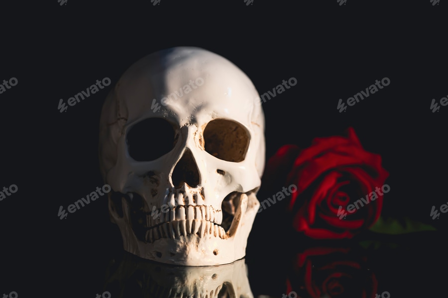 Cover for Human skull and flowers. Day of the dead, Dia de los muertos character.