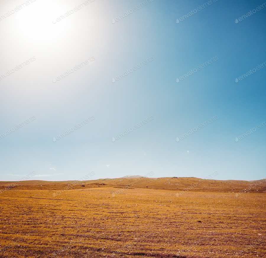 Cover for meadow and blue sky